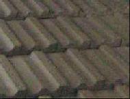 Coir Fiber