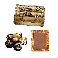 Coir Fiber