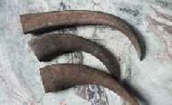 Coir Fiber
