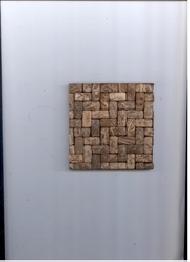 Coir Fiber