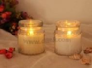 Coir Fiber