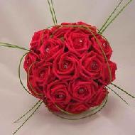 Coir Fiber
