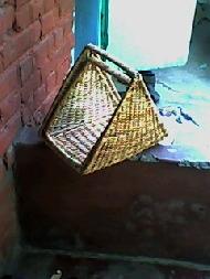 Coir Fiber