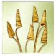 Coir Fiber