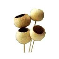 Coir Fiber