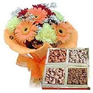 Coir Fiber