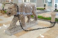 Coir Fiber