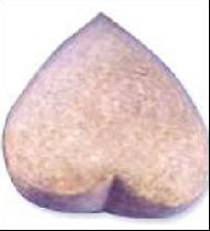Coir Fiber