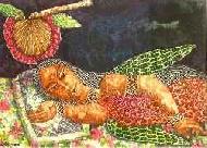 Coir Fiber