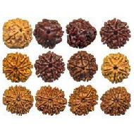 Coir Fiber