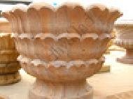 Coir Fiber