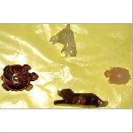 Coir Fiber