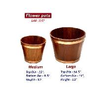 Coir Fiber