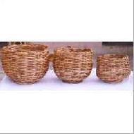 Coir Fiber