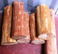 Coir Fiber