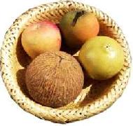 Coir Fiber