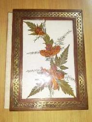 Coir Fiber