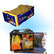 Coir Fiber