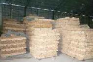 Coir Fiber