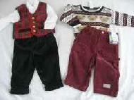Coir Fiber