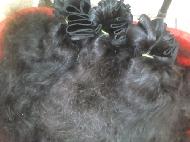 Coir Fiber