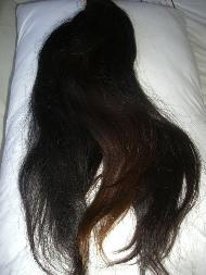 Coir Fiber