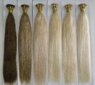 Coir Fiber