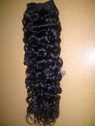 Coir Fiber