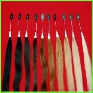 Coir Fiber