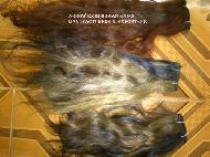 Coir Fiber