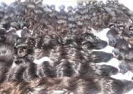 Coir Fiber