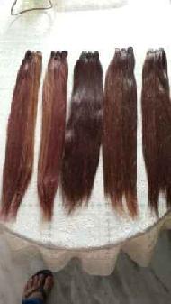 Coir Fiber