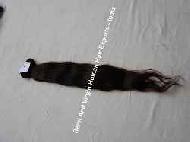 Coir Fiber