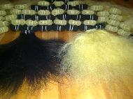 Coir Fiber