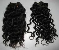 Coir Fiber