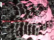 Coir Fiber
