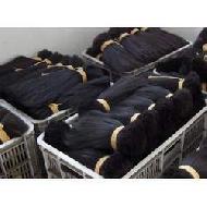 Coir Fiber