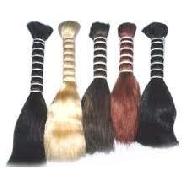 Coir Fiber