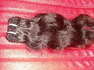 Coir Fiber