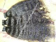 Coir Fiber