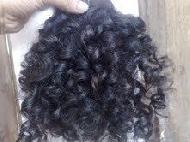 Coir Fiber