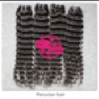 Coir Fiber
