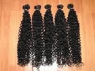 Coir Fiber