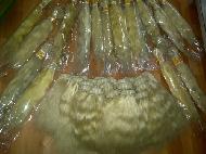 Coir Fiber