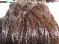 Coir Fiber