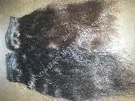 Coir Fiber