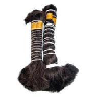 Coir Fiber