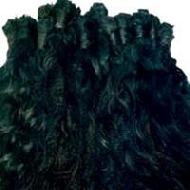 Coir Fiber