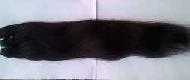 Coir Fiber