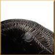 Coir Fiber